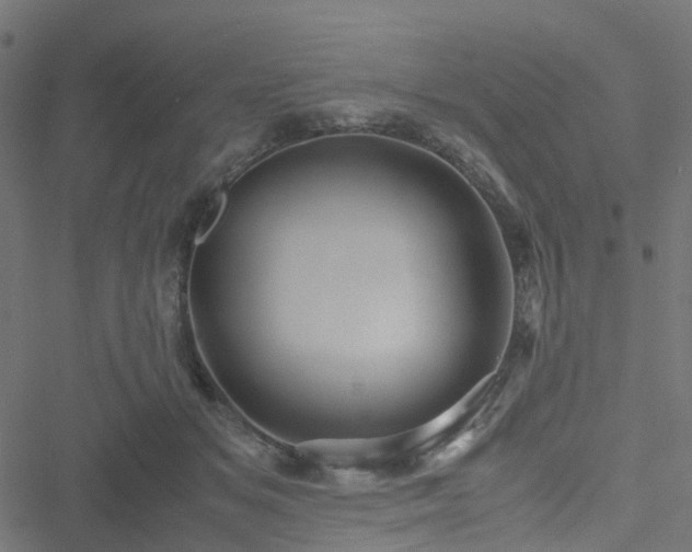 X0000051250509200506241550