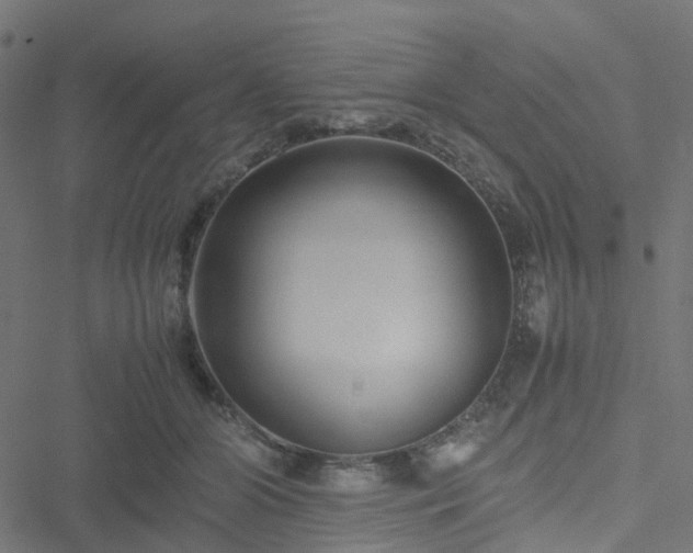 X0000051250510200506241550