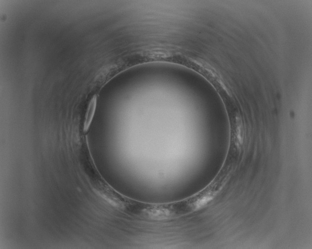 X0000051250512200506241550