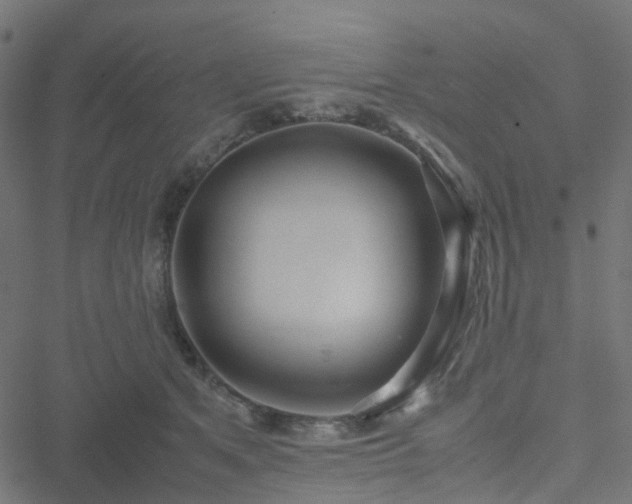 X0000051250513200506241550