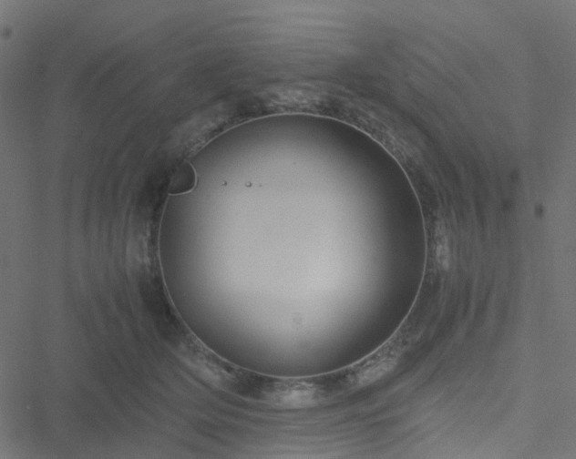 X0000051250514200506241550