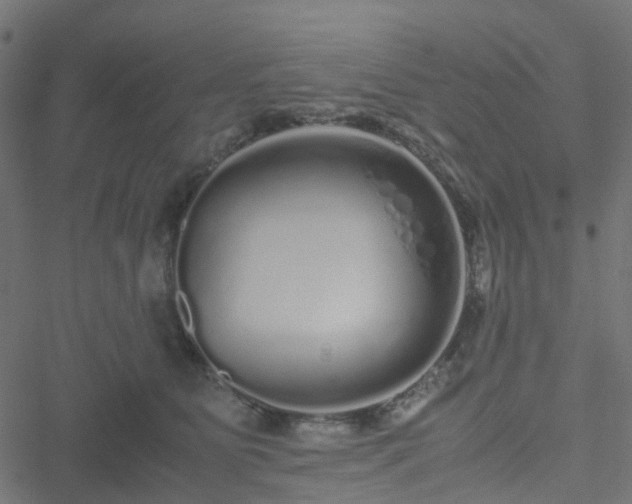 X0000051250515200506241550