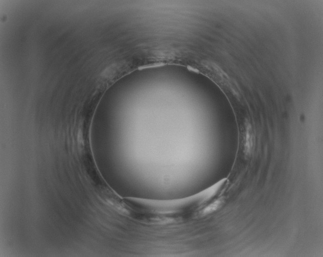 X0000051250516200506241550