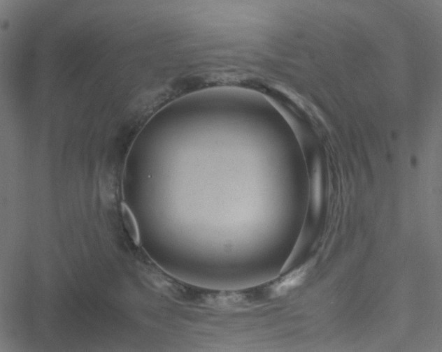 X0000051250517200506241550