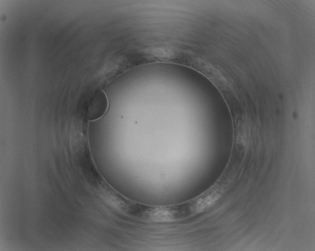 X0000051250518200506241550