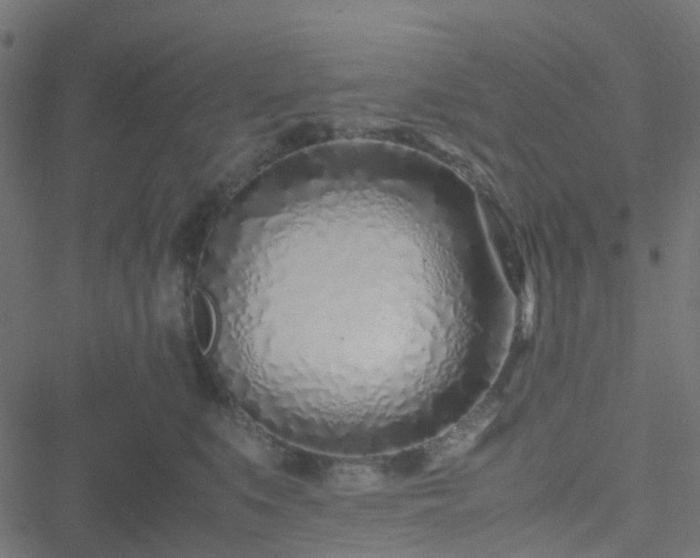 X0000051250519200506241550