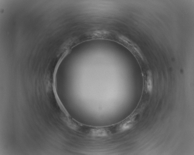 X0000051250520200506241550