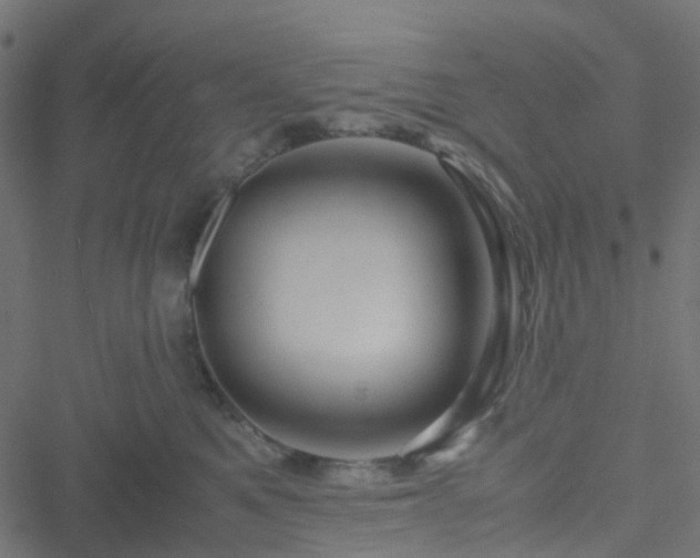 X0000051250521200506241550