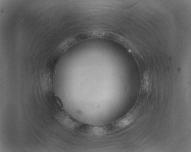 X0000051250522200506241550