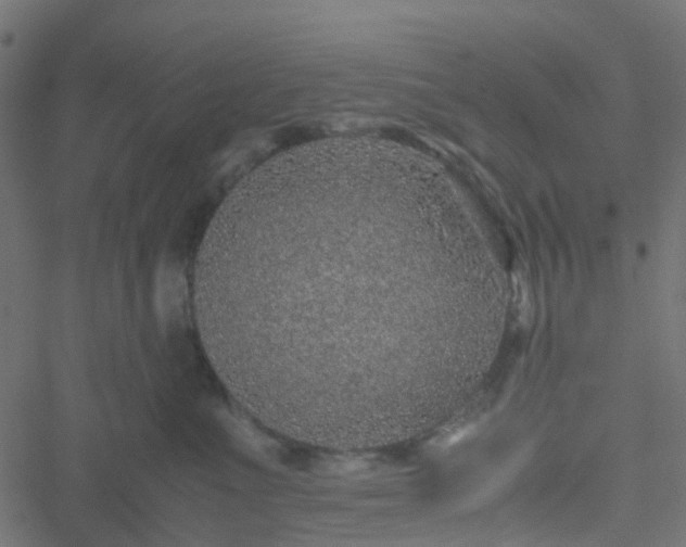 X0000051250523200506241550