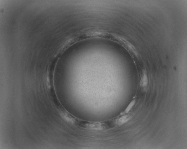 X0000051250524200506241550