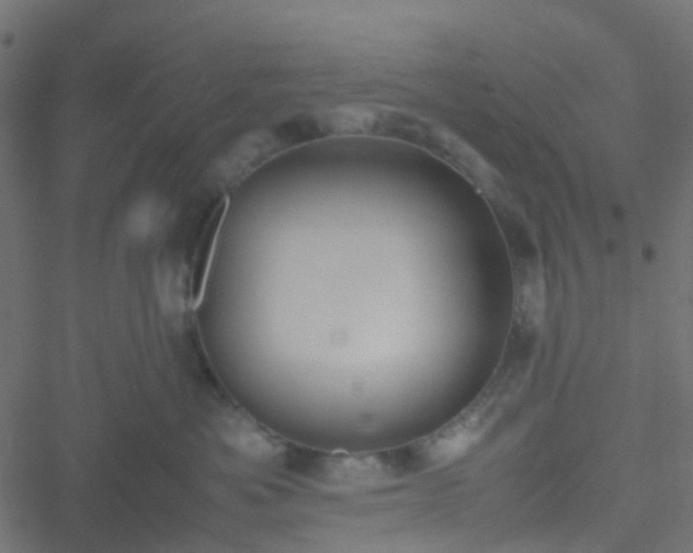 X0000051250525200506241550