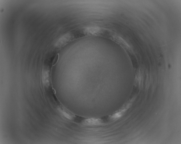 X0000051250526200506241550