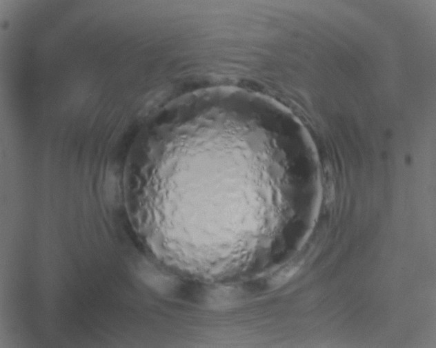 X0000051250527200506241550