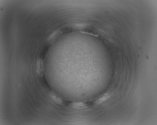 X0000051250528200506241550