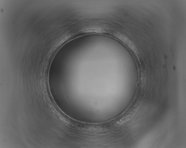 X0000051250529200506241549