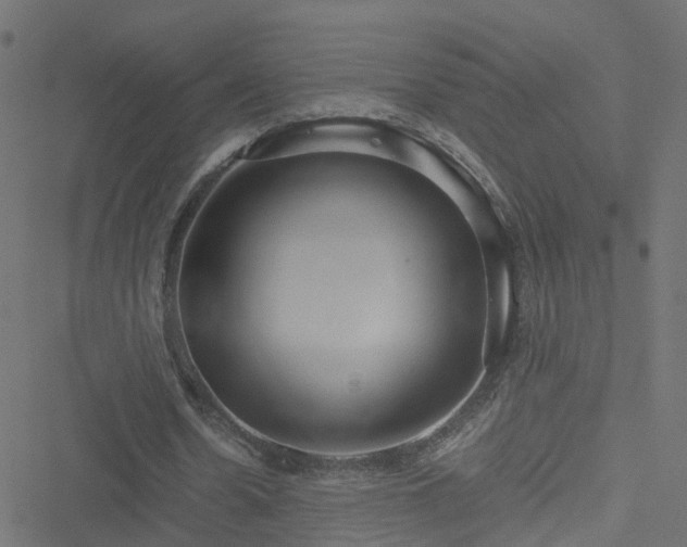 X0000051250530200506241549