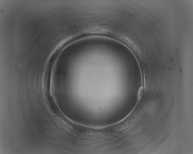 X0000051250531200506241549