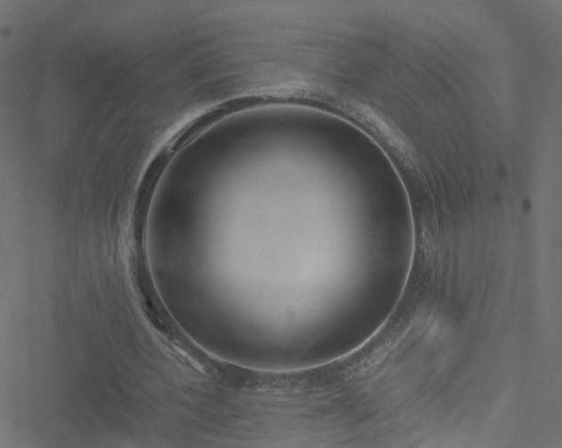 X0000051250532200506241549