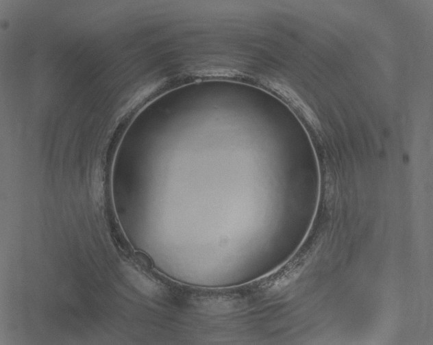 X0000051250533200506241549