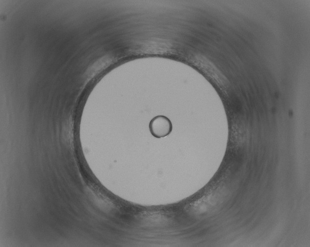 X0000051250534200506241549