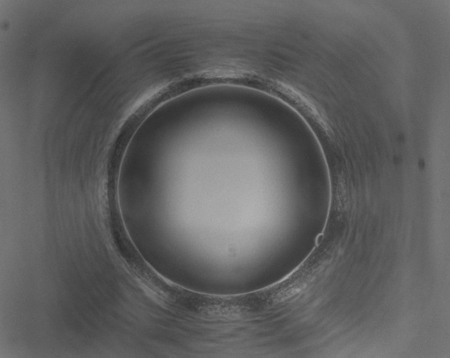 X0000051250535200506241549