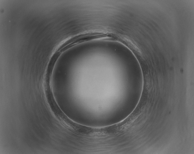 X0000051250536200506241549