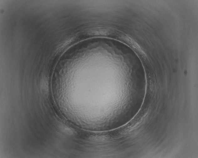 X0000051250537200506241549