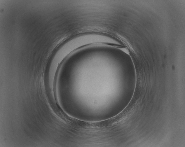 X0000051250538200506241549