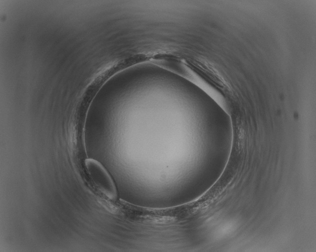 X0000051250539200506241549