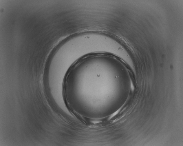 X0000051250540200506241549