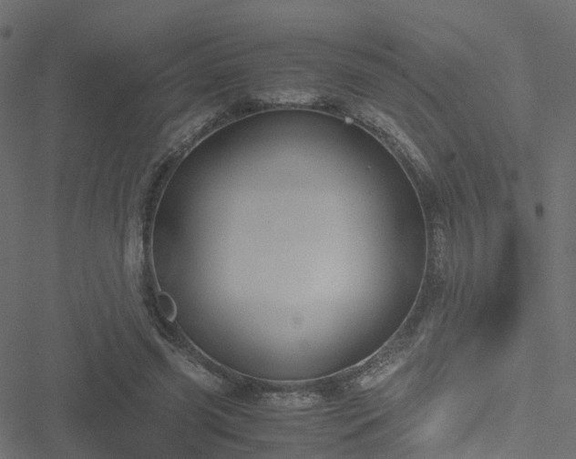 X0000051250541200506241549