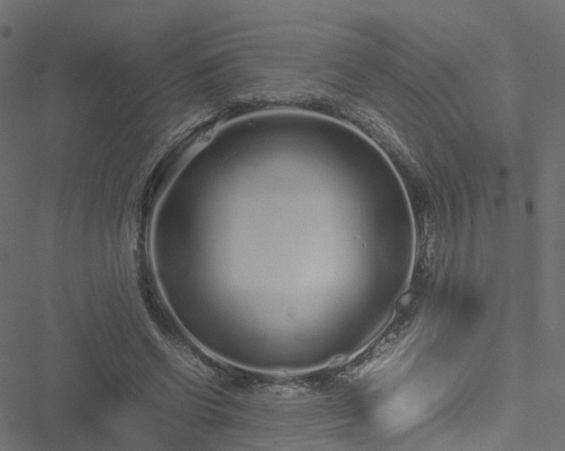 X0000051250542200506241549