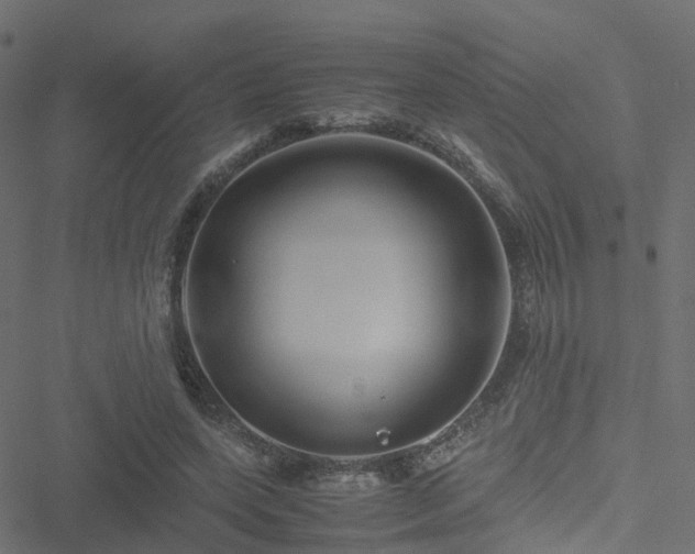 X0000051250543200506241549