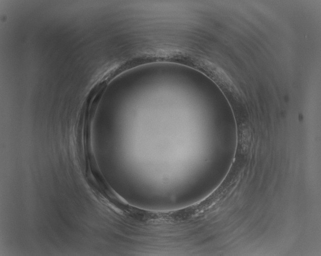 X0000051250544200506241549