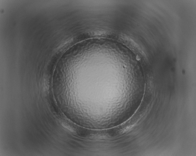 X0000051250545200506241549