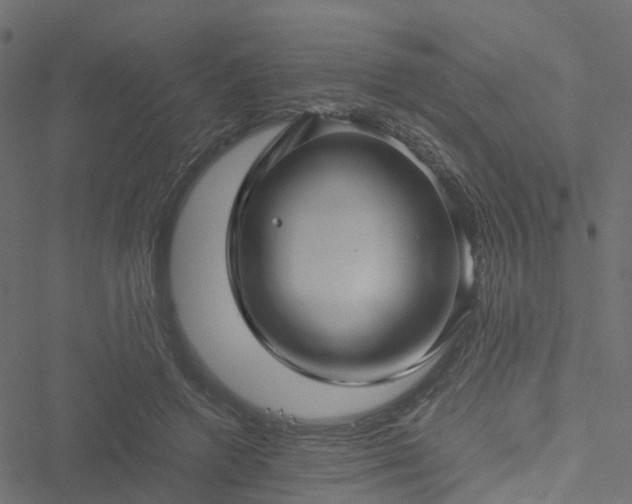 X0000051250546200506241549