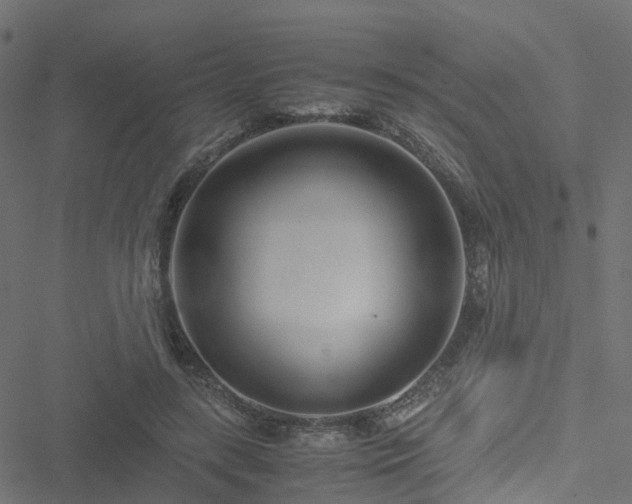 X0000051250547200506241549