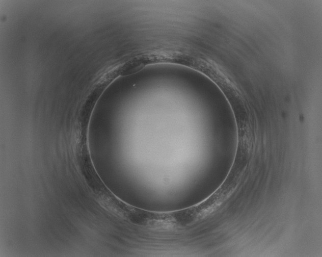 X0000051250548200506241549