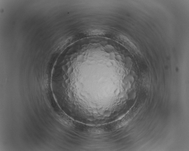 X0000051250549200506241549