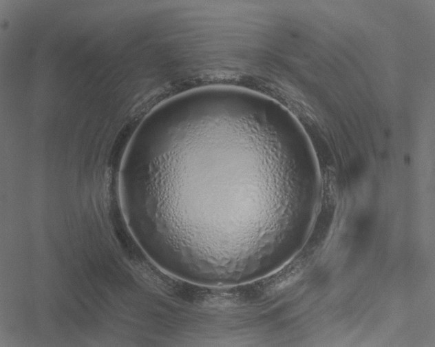 X0000051250550200506241549