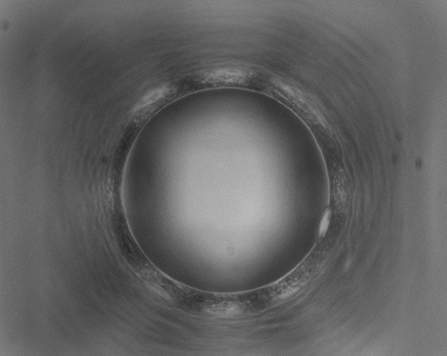 X0000051250551200506241549