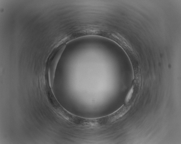 X0000051250552200506241549