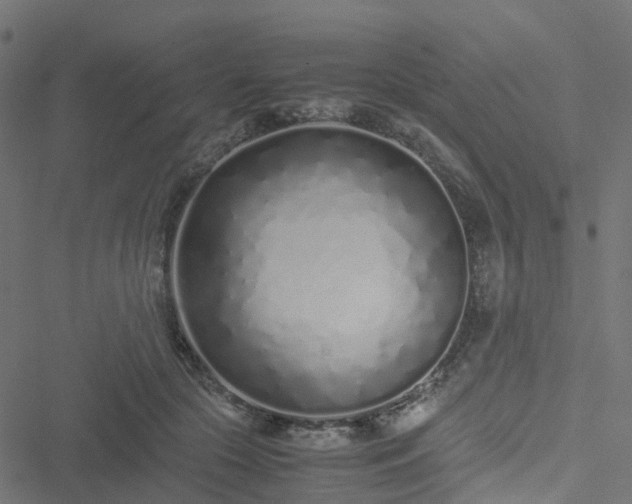 X0000051250553200506241549