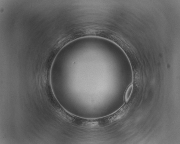 X0000051250554200506241549