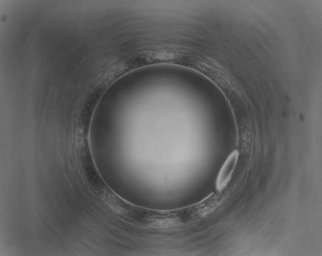 X0000051250555200506241549