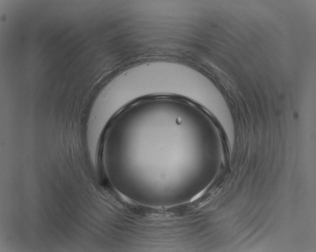 X0000051250556200506241549