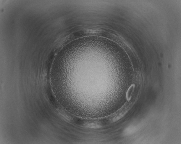 X0000051250557200506241549