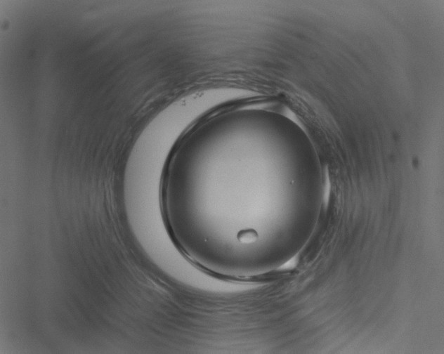 X0000051250558200506241549