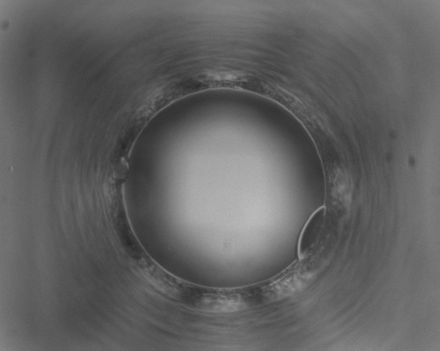 X0000051250559200506241549